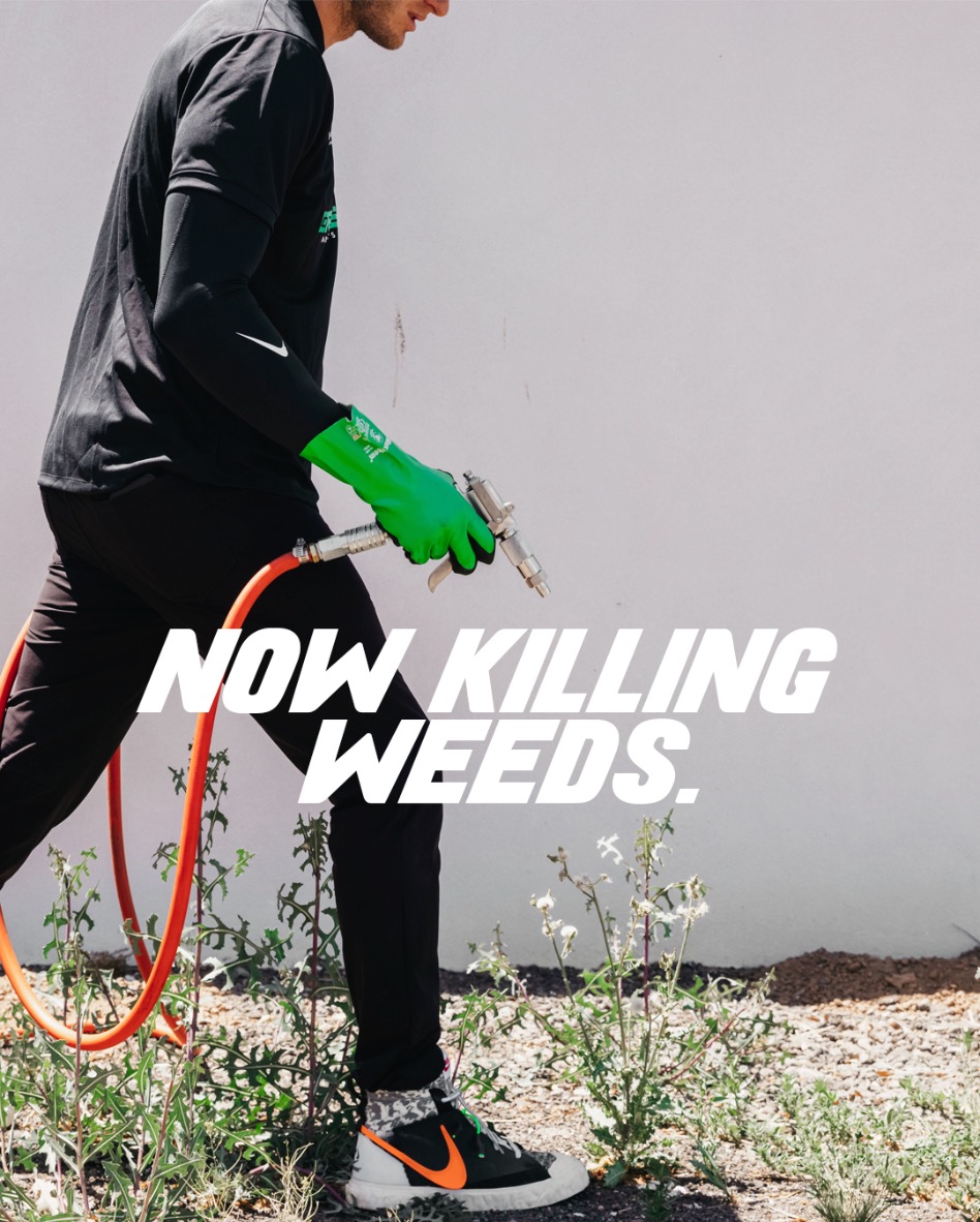 now killing weeds in phoenix, arizona