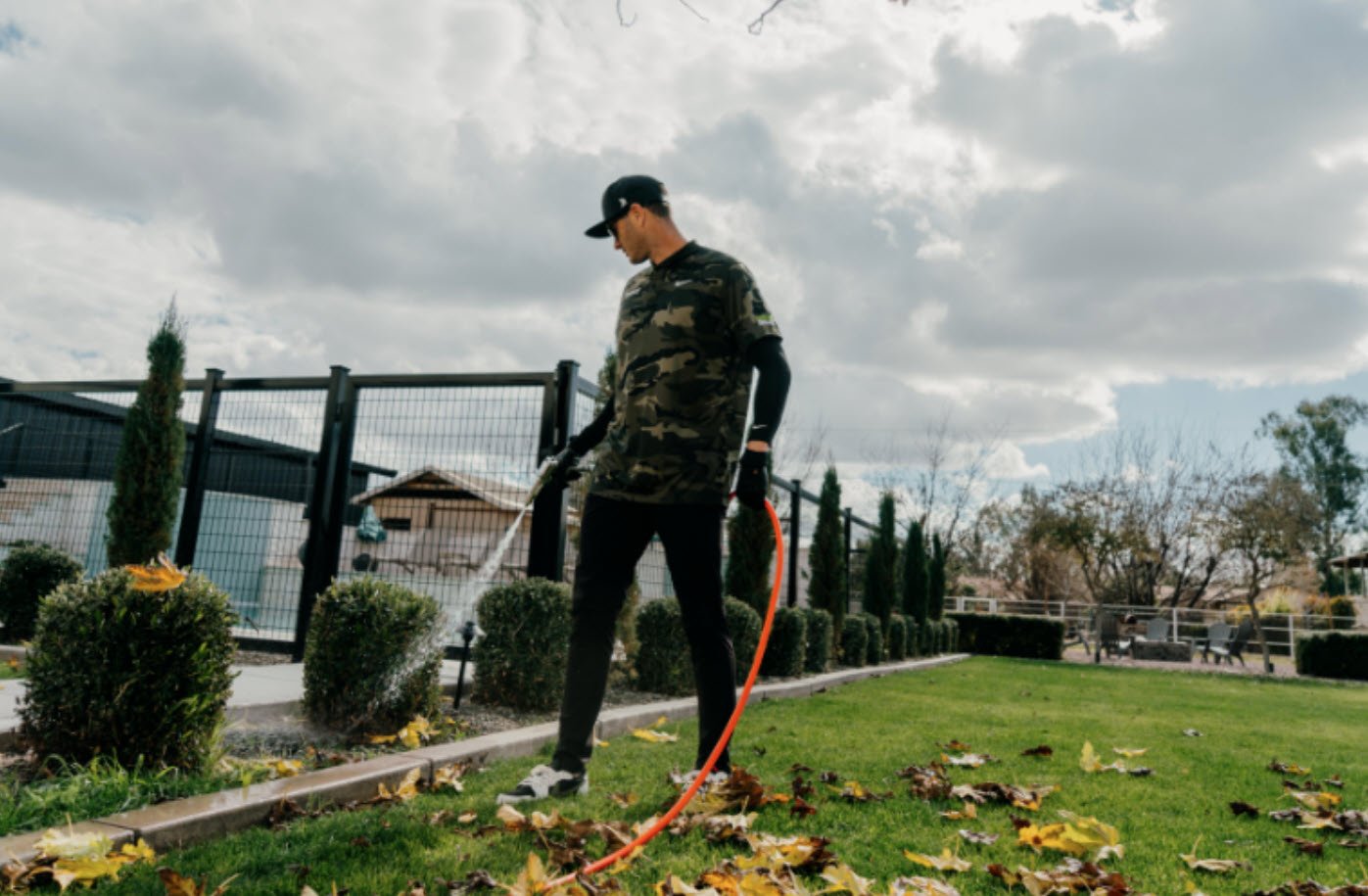 Summer Switchover Green Mango Pest Control