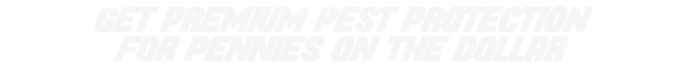e158ebb8-new-cust_1000000000000000000028 e158ebb8-new-cust_1000000000000000000028