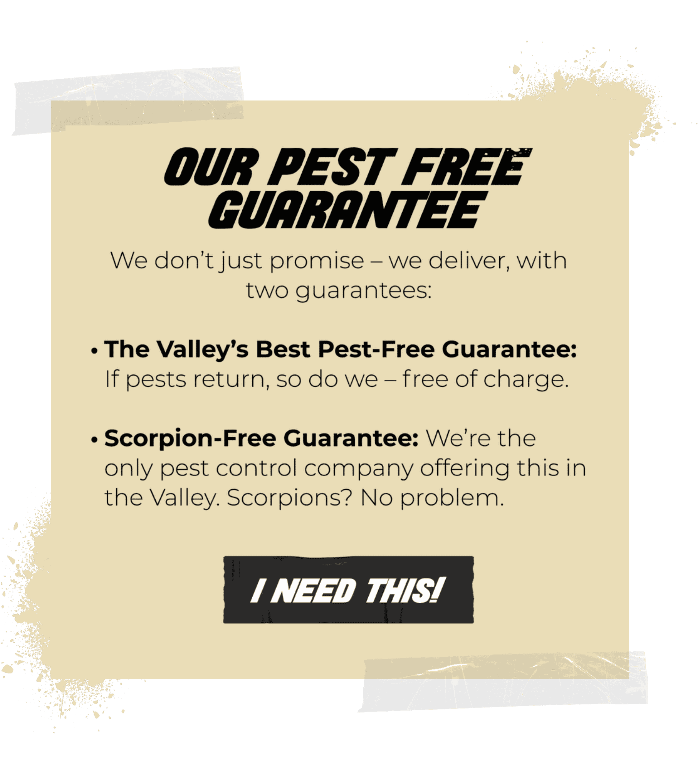 Pest free guarantee in phoenix
