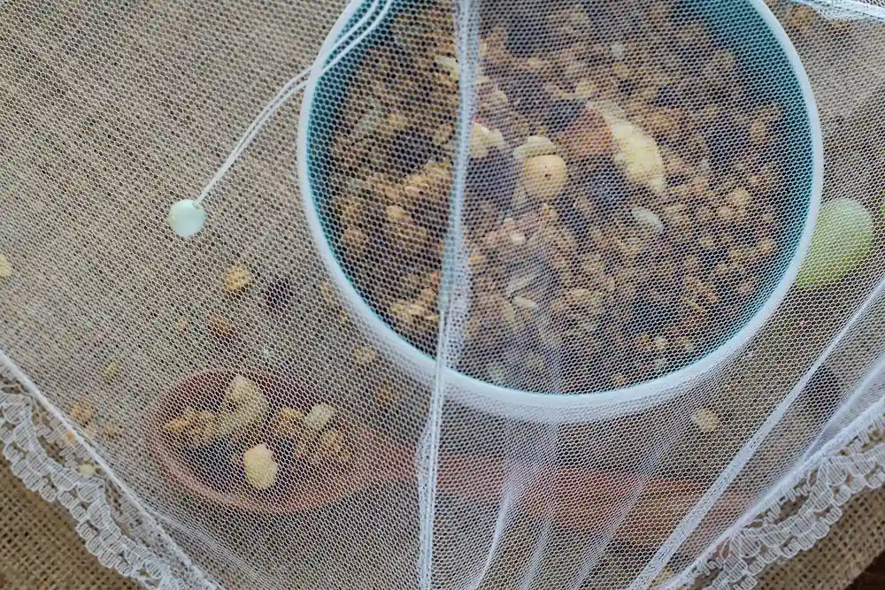 pest control,