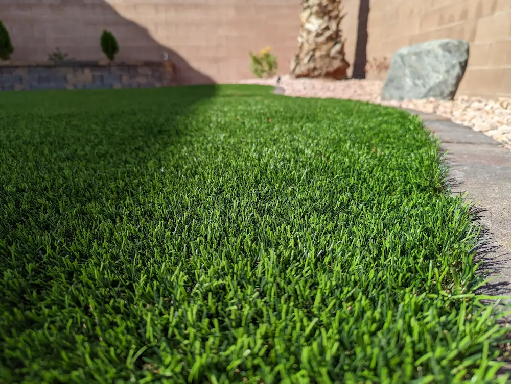 pests in artificial turf